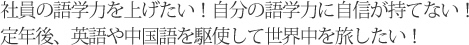 社員の語学力を上げたい！自分の語学力に自信が持てない！定年後、英語や中国語を駆使して世界中を旅したい！