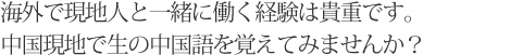 海外で現地人と一緒に働く経験は貴重です。中国現地で生の中国語を覚えてみませんか？
